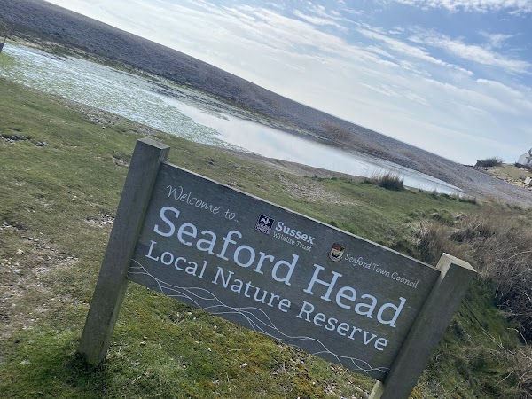 Seaford Head Nature Reserve, Sussex Wildlife Trust 2