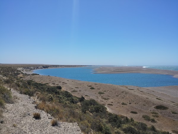 Caleta Valdés 4