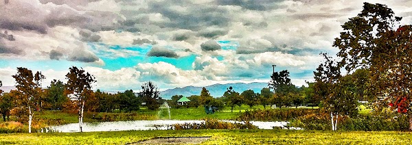 Middlebury College Museum of Art 1