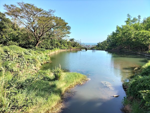 Bán đảo Sơn Trà 2