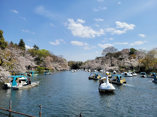 Inokashira Park 5