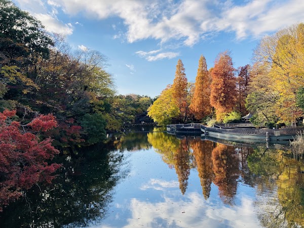 Inokashira Park 4