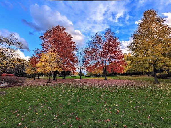 Jaycee Gardens Park 2