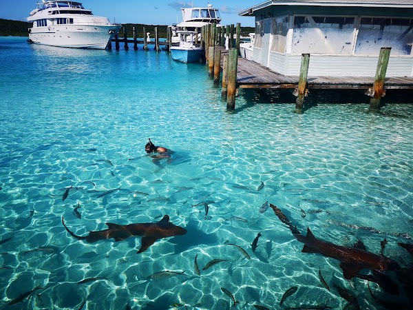Bahamas