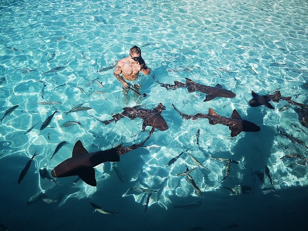 Compass Cay 5