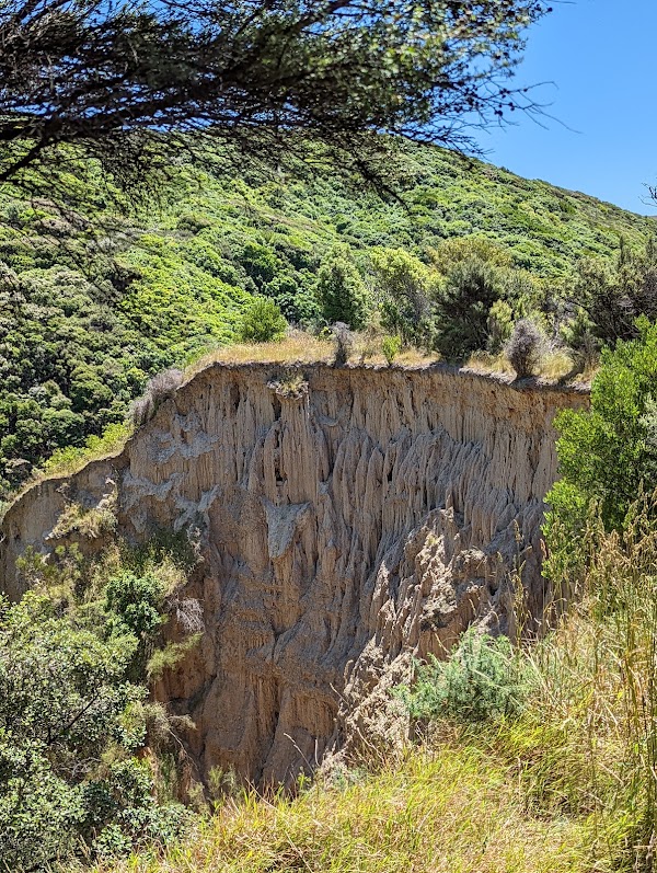 Cathedral Gully 5