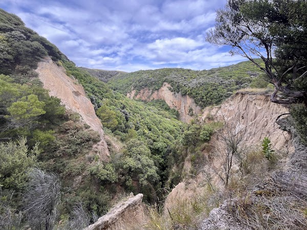 Cathedral Gully 4
