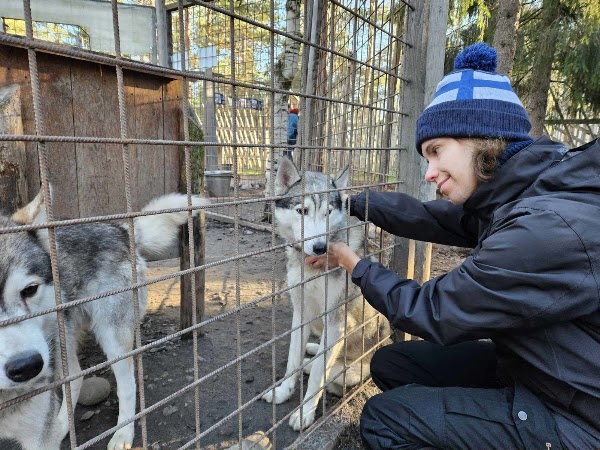 Arctic Circle Husky Park 3