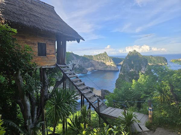 Rumah Pohon "Tree House" 1