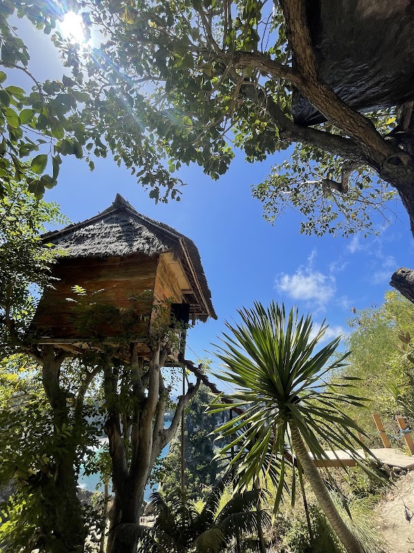 Rumah Pohon "Tree House" 2