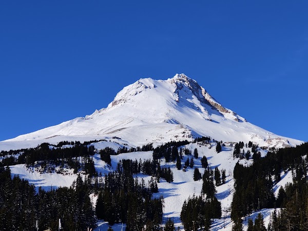 Mt. Hood Meadows 1