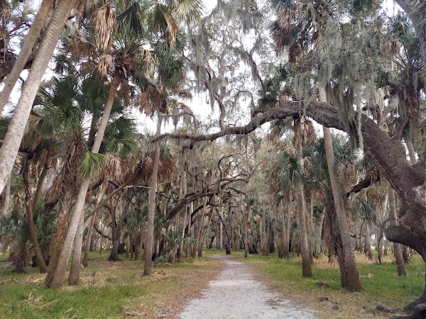 Myakka River State Park 4