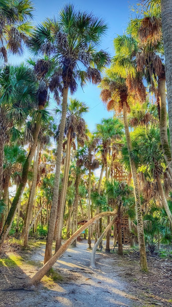Myakka River State Park 3
