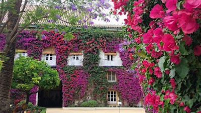 Palacio de las Dueñas 1