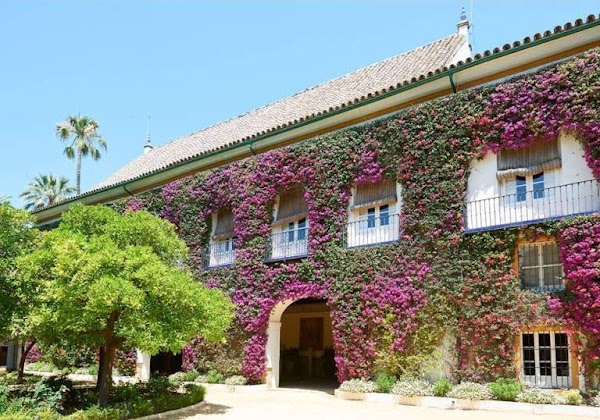 Palacio de las Dueñas 3