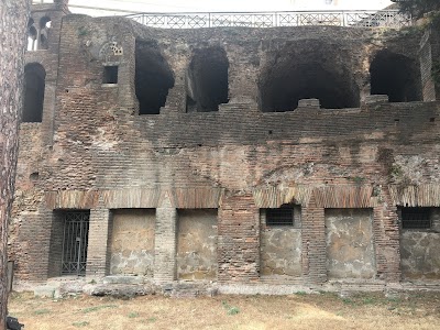 Insula Romana