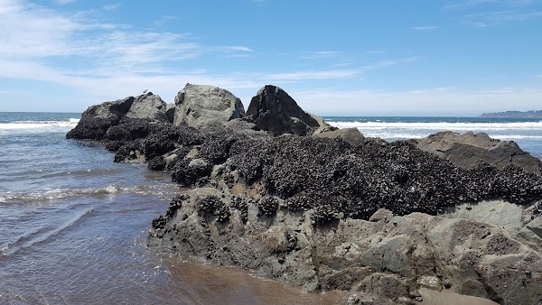 Stinson Beach 4