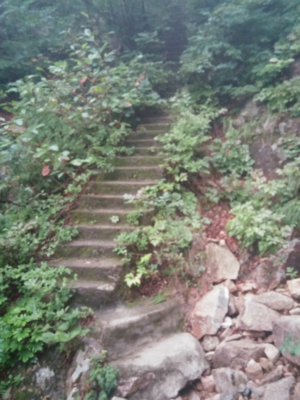 화채봉 2