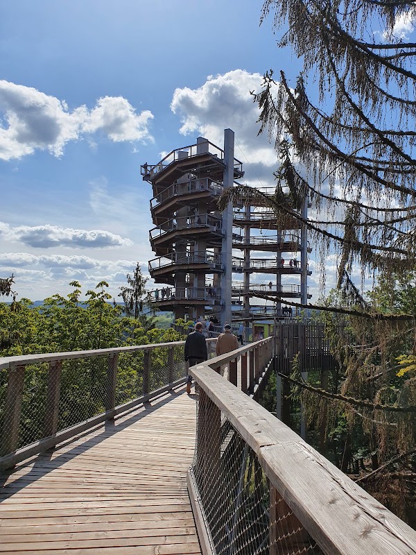 Treetop Walk Saarschleife