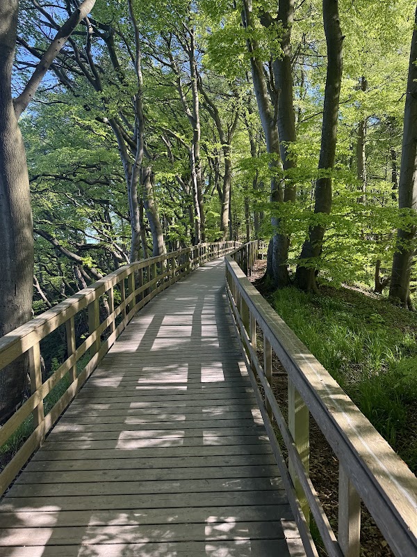 Møns Klint 5