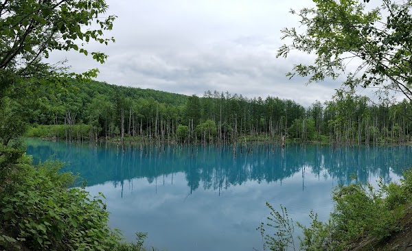 Biei 2