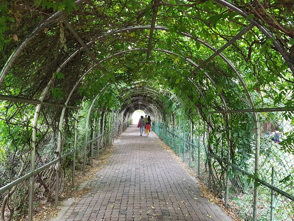 Mulhyanggi Arboretum