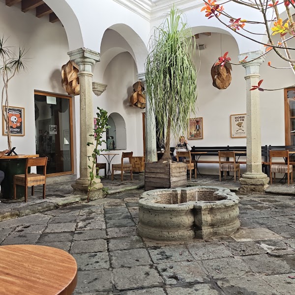 Café Brújula Alcalá | Café de Especialidad de Oaxaca, México 3