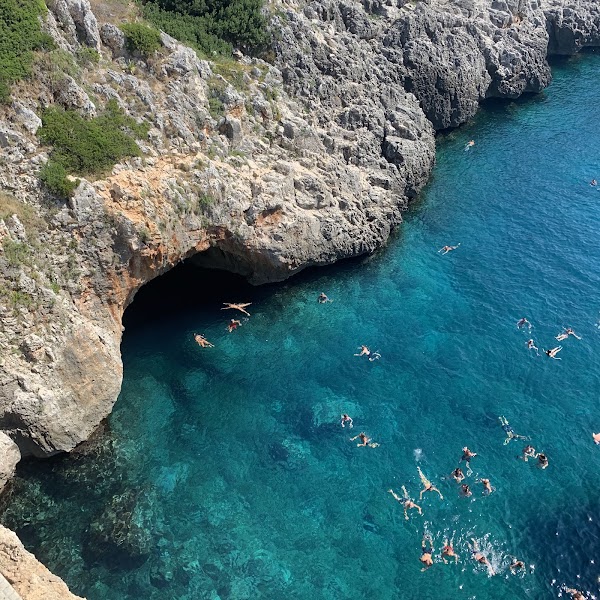 Il Ciolo 2