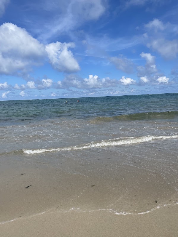 Playa Dorada 5