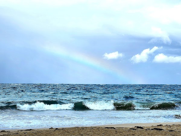 Playa Dorada 4