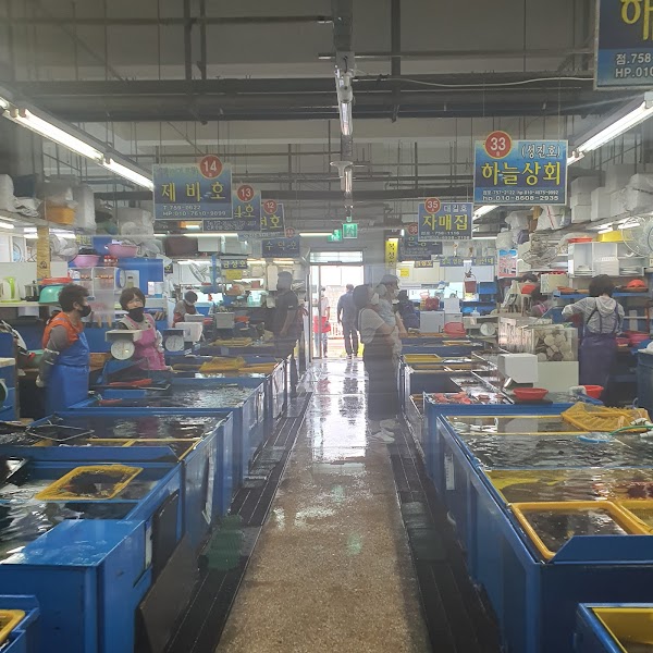 Millak Live Fish Sashimi Market 5