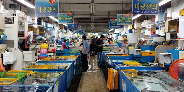 Millak Live Fish Sashimi Market 2