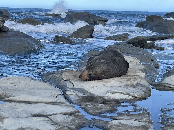 Point Kean Viewpoint 2