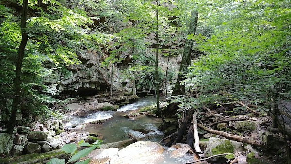 Roaring Run Road