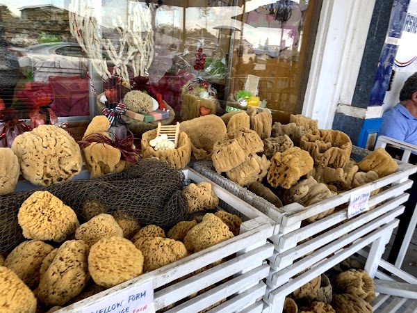 Tarpon Springs Sponge Docks 5