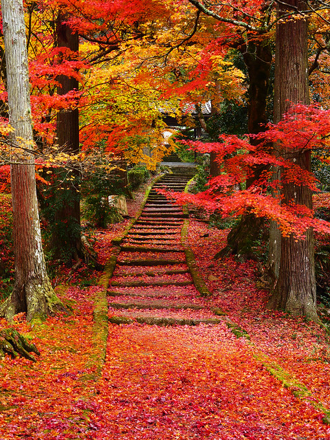 Ryūonji Temple