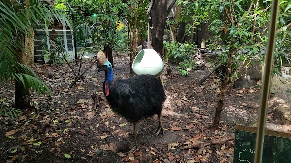 WILD LIFE Sydney Zoo 5