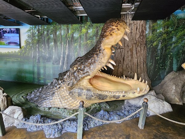 WILD LIFE Sydney Zoo 2