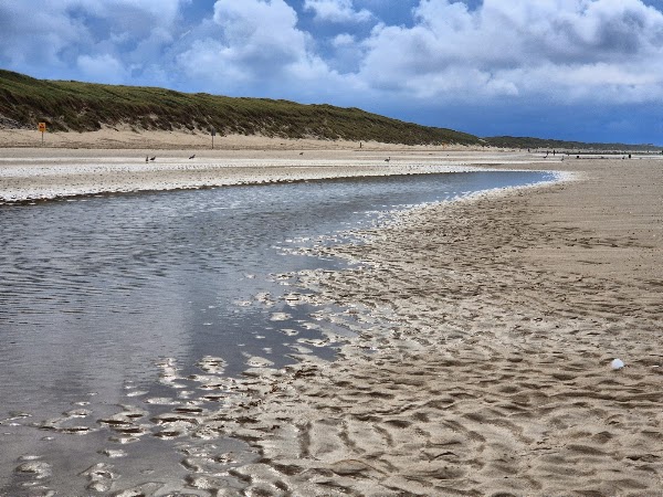 Schoorlse Duinen 4