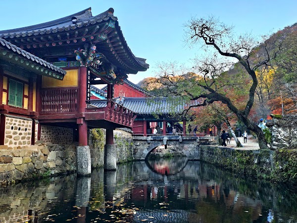Songgwangsa Temple 5