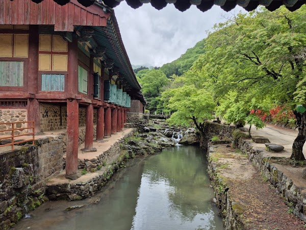 Songgwangsa Temple 4