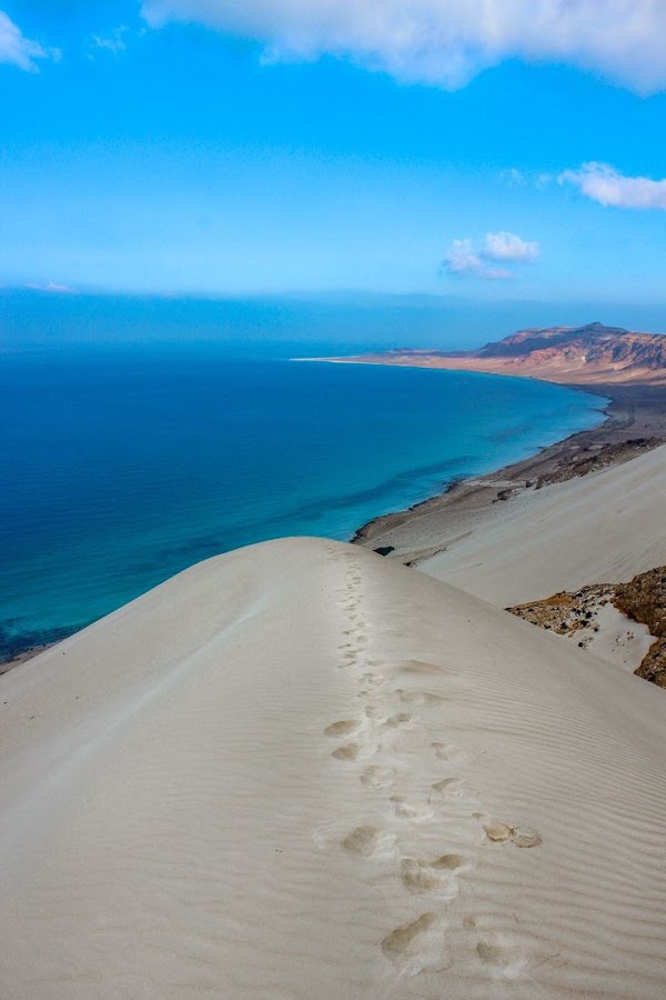 شاطئ عرهر Arher Beach 4
