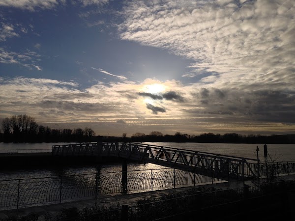 Bord de seine