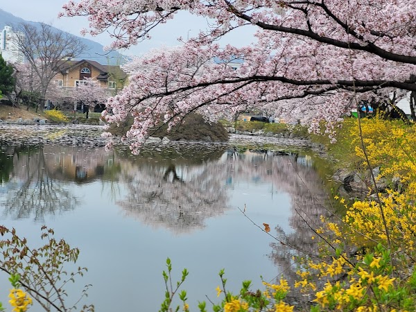 Yeonhwaji 5
