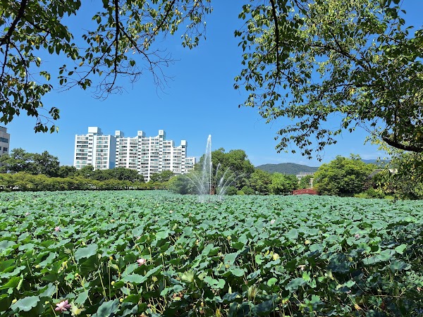 Yeonhwaji 4