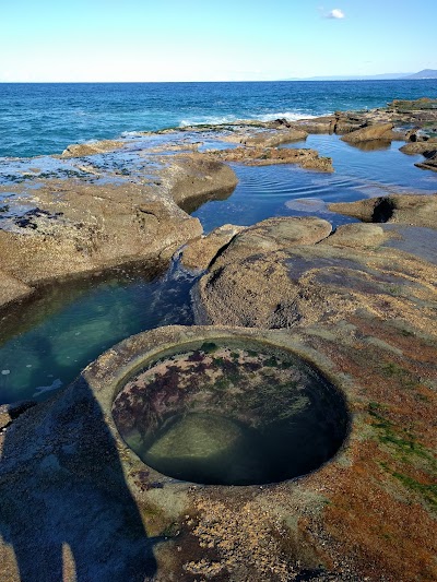 Royal National Park