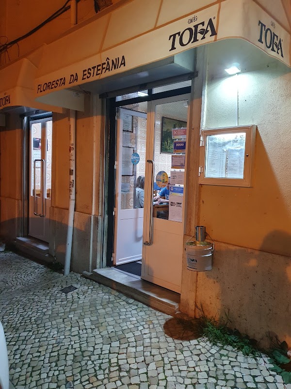 A Floresta da Estefânia 1