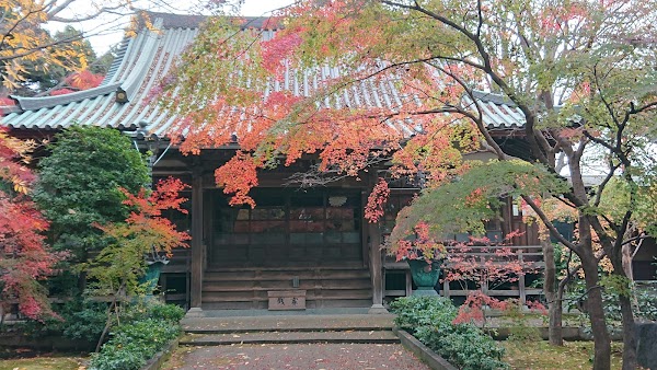 Japan 20