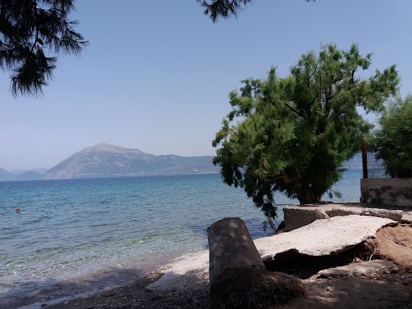 Patras 5
