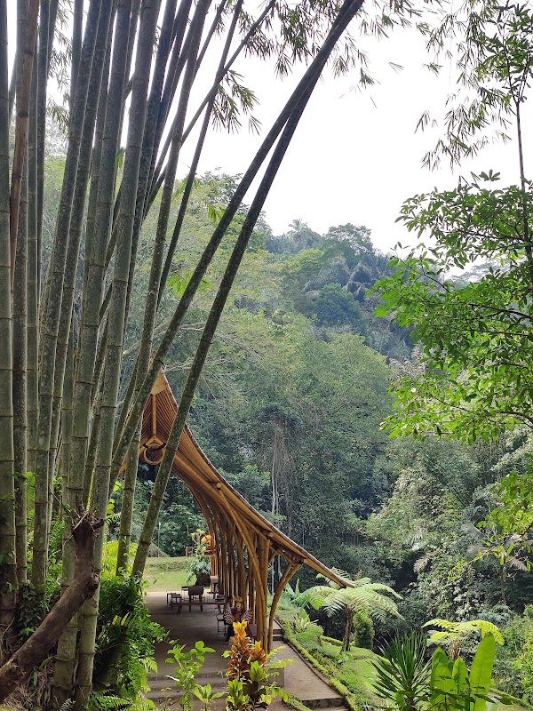 Taro Village Experience ( Evening Fireflies Tour, Balinese Cooking Class, Coconut Oil Class, Offering & Purification ) 5